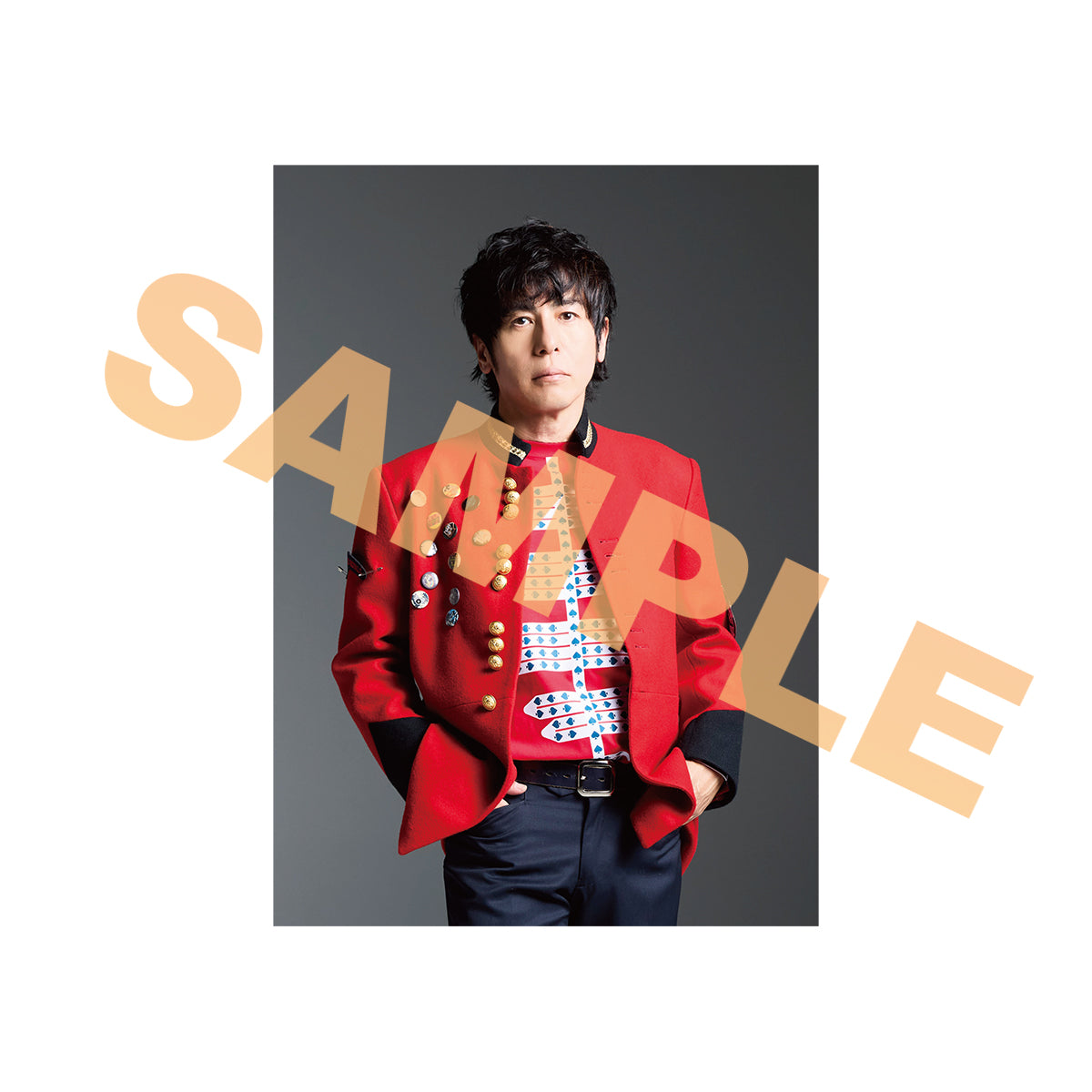 ブロマイド風カードセット