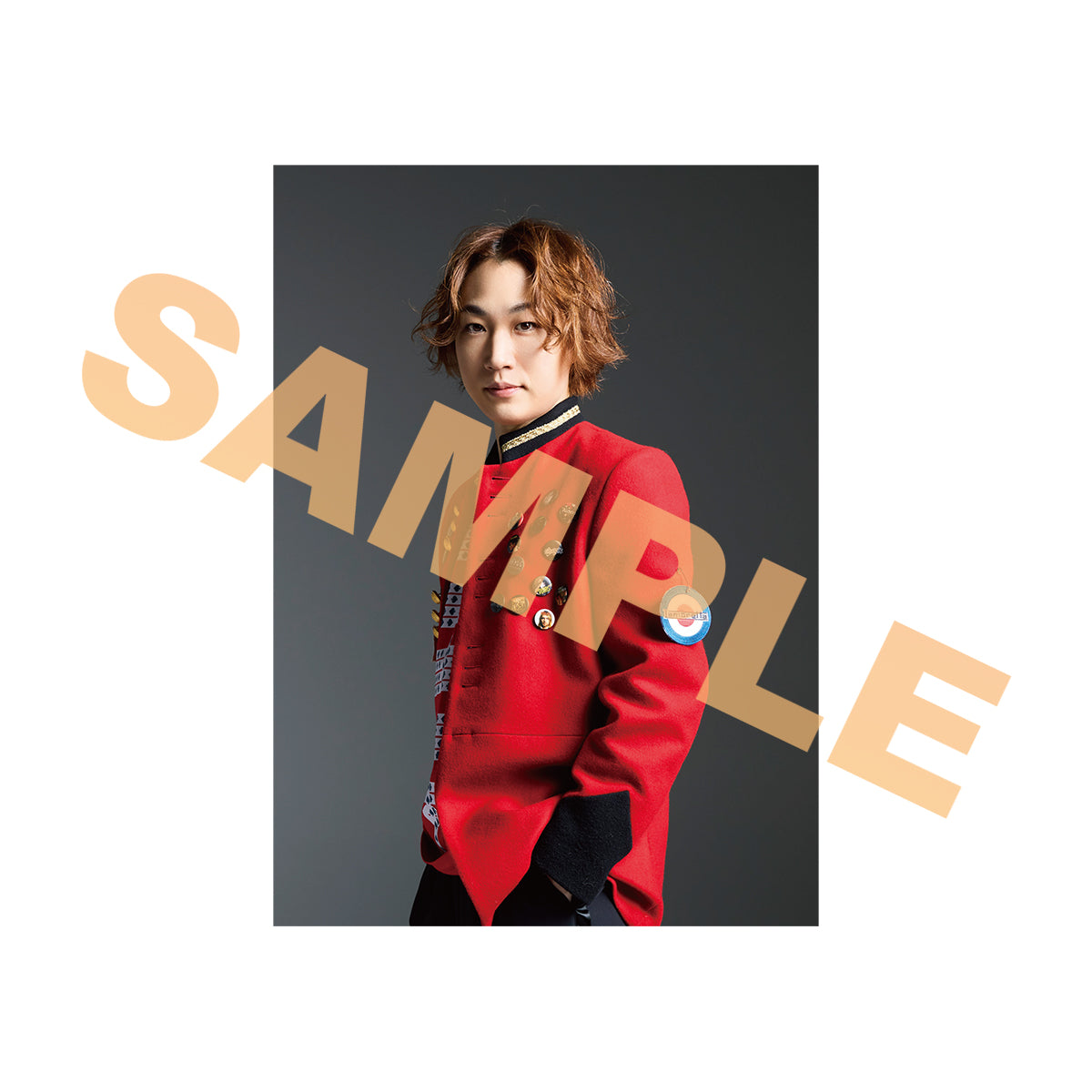 ブロマイド風カードセット