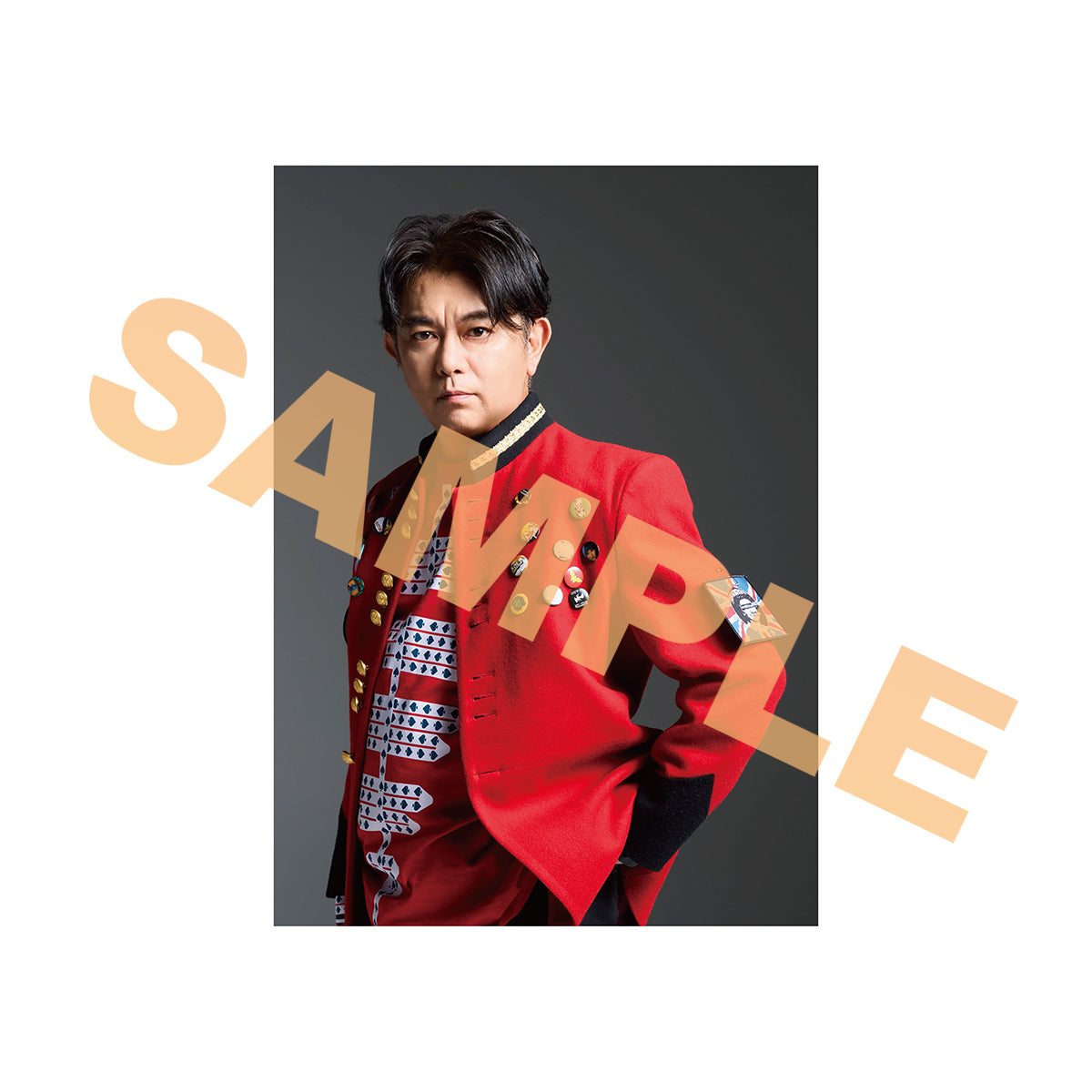 ブロマイド風カードセット